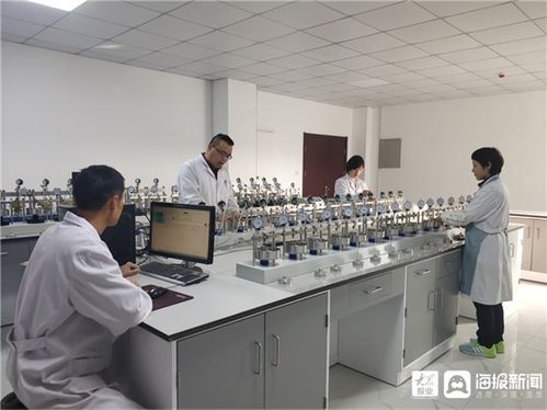 魯南院實(shí)驗(yàn)測(cè)試中心土工試驗(yàn)項(xiàng)目取得新進(jìn)展